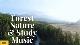 Thumbnail: Forest Nature Videos 4K | Relaxing Scenery | Calming Music | Aerial Nature Footage