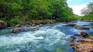 Thumbnail: 4K Mountain River Flow Over Rocky Rapids | Pure Water Sounds for Deep Sleep & Relaxation | 10 Hours