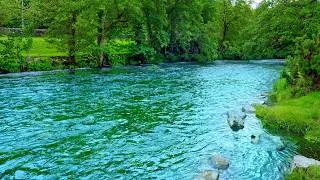 Thumbnail: 4K Ultra HD River Sounds for Deep Sleep 🌿 Most Relaxing Forest Water Ambience 10 Hours