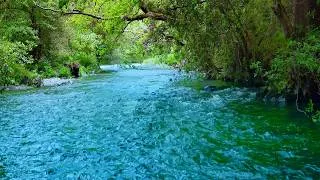 Thumbnail: 😴 Fall Asleep Fast to a Soft Forest River Stream 💧 No Birds • Relaxing Water Sounds (10 Hours).