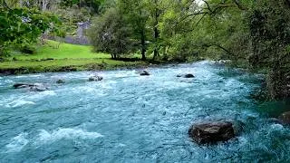 Thumbnail: The Most Peaceful River Sounds for Sleep & Relaxation 🌊 Flowing Water Ambience 🌙 (10 Hours)