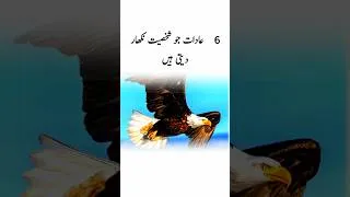 Thumbnail: #youtubeshorts #motivation #quotes #shorts