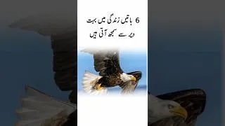 Thumbnail: #youtubeshorts #motivation #quotes #shorts