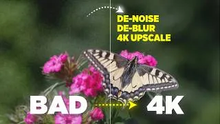 Thumbnail: Best AI Tool to UPSCALE Videos & Photos? The SECRET TOOL Creators Need