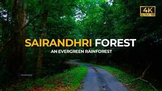 Thumbnail: Silent Valley Rainforest | Jeep Safari | Trekking | Forest Stay
