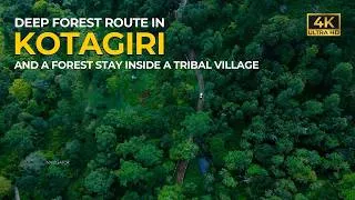 Thumbnail: Deep Forest Route in Kotagiri | A Forest Stay inside Tribal Village