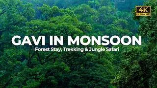 Thumbnail: Gavi | Forest Stay | Trekking | A Complete Travel Guide  | Jungle Safari