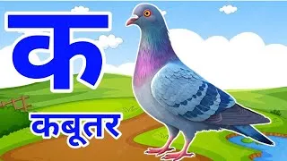 Thumbnail: क से कबूतर k se kabutar kha se khargosh | Hindi Varnamala Song | k kha ga gha