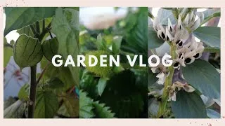 Thumbnail: GARDEN VLOG | SOUTH AFRICAN YOUTUBER