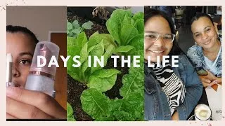 Thumbnail: DAYS IN THE LIFE | Lashes, Gardening, Lunch Date