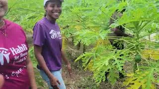 Thumbnail: Visit to farm in King's Bay, Delaford