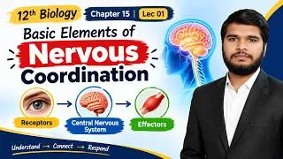 Thumbnail: Basic Elements of Nervous Coordination | Receptors | CNS | Effectors | 12th Bio| Ch no 15 | Lec no 1
