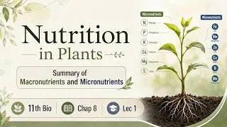 Thumbnail: Nutrition in Plants  | Summary of  Macronutrients and Micronutrients | 11th Bio | Chap 8 | Lec 1