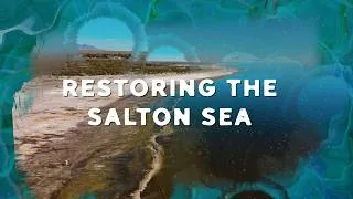Thumbnail: Restoring The Salton Sea: Progress, Promise, And Pressure