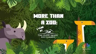 Thumbnail: More Than A Zoo: 1 Year At The Living Desert