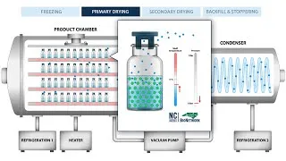 Thumbnail: The Process of Freeze Drying (Lyophilization)