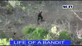 Thumbnail: This is how bandits survive in the Jungle