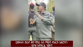 Thumbnail: ህወሓት በራያ ቆቦ ጃኖራ እና ማህጎ የአርሶ አደሮችን ፍየል እየዘረፈ ነው!!