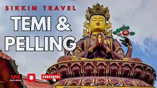 Thumbnail: Sikkim Travel | Temi Tea Garden | Pelling Ropeway & Skywalk