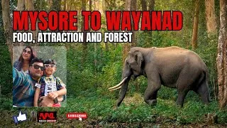 Thumbnail: Mysore to Wayanad (Day 2) | Mylari Dosa, St. Philomena & Bandipur Drive