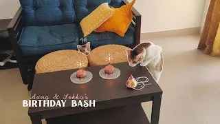 Thumbnail: 𝑨𝒂𝒏𝒈 𝒂𝒏𝒅 𝑺𝒐𝒌𝒌𝒂'𝒔 𝒃𝒊𝒓𝒕𝒉𝒅𝒂𝒚 𝒃𝒂𝒔𝒉 | cake decoration, gifts *nom noms*