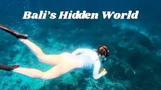 Thumbnail: BALI SNORKELING Adventure 🐢 Sea Turtles, Reef Fish & a Sunken (Wreck)?