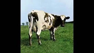 Thumbnail: Pink Floyd - Alan's Psychedelic Breakfast (best version)