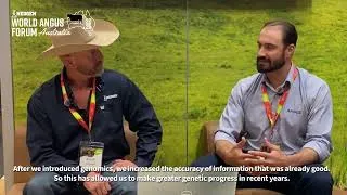 Thumbnail: Brazil Angus - World Angus Forum