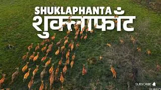 Thumbnail: SHUKLAPHANTA NATIONAL PARK (TRAVEL DOCUMENTARY) | FAR WEST NEPAL ON NAMMI VIGO | 4K