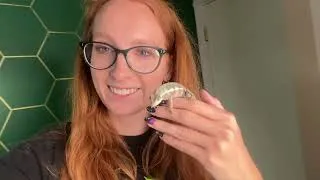 Thumbnail: New plants, UVB bulbs, and life updates! | Bio Dude Unboxing