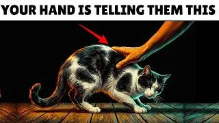 Thumbnail: Every Time You Stroke Your Cat, You’re Actually Telling Them This