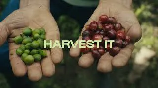 Thumbnail: Discover where exceptional coffee comes from