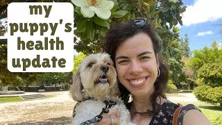 Thumbnail: My Puppy's Health Scare after Visiting the Beach | Be Careful!
