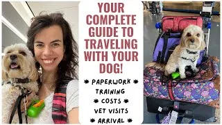 Thumbnail: The Complete Guide to Traveling with Your Dog on a Plane! #internationaltravel