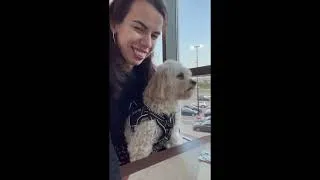 Thumbnail: mall date with a puppy 💜