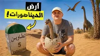 Thumbnail: رحلتي عبر الزمن في الصحراء التونسية 🇹🇳 | كيف كانت تونس قبل 100 مليون سنة ؟