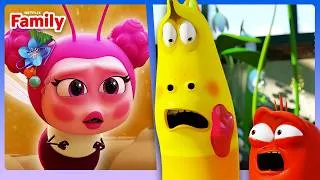 Thumbnail: Honey Heist Gone Wrong! 🐝 Larva Family | Netflix Family