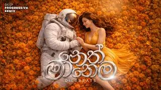 Thumbnail: Neth Manema - Dilu Beats (netherWORLD Remix) | Deep Progressive Remix