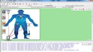 Thumbnail: Ensuring QoS in Wireless Body Area Network Projects