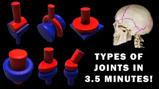 Thumbnail: JOINT ANATOMY in 3.5 MINUTES!