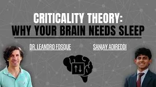 Thumbnail: The Relationship Between Sleep and Neural Plasticity | Dr. Leandro Fosque