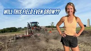 Thumbnail: Farm Summer Mishaps and Mayhem