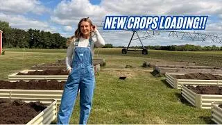 Thumbnail: "Professional" Farming