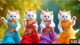 Thumbnail: 🥰बिल्ली डांस | Cutest💃🤣CatvideosfunnydanceDance Videos for cats#funny#dancingcat #