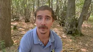 Thumbnail: no one talks about the costs of slowly betraying yourself