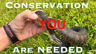 Thumbnail: Can we fix a Broken Habitat? After most of the Animals have Vanished? 