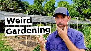 Thumbnail: Weird Gardening In Central Texas