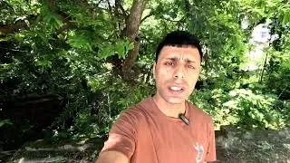 Thumbnail: #haldi#curcumin #shorts#healing #health 