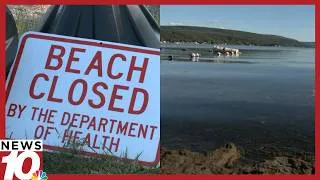 Thumbnail: Aluminum sulfate treatment in Honeoye Lake fails to deliver lasting water quality results, DEC study