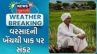 Thumbnail: Weather Update News | વરસાદની ખેંચથી પાક પર સંકટ | Crop Damage | Farmers News | Rain Update